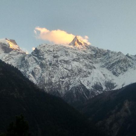 Wanderers Homestay Kalpa Eksteriør billede