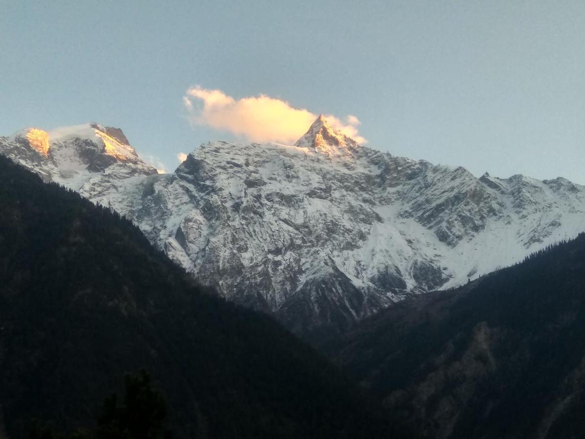 Wanderers Homestay Kalpa Eksteriør billede