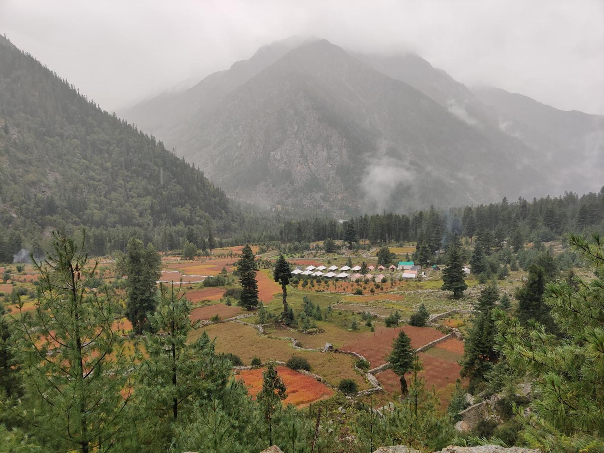 Wanderers Homestay Kalpa Eksteriør billede